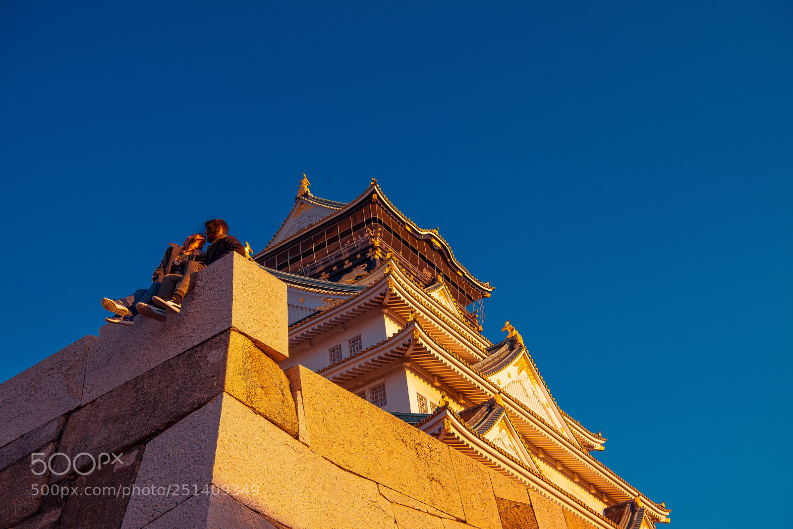 Nikon D800E sample photo. Osaka castle of the photography