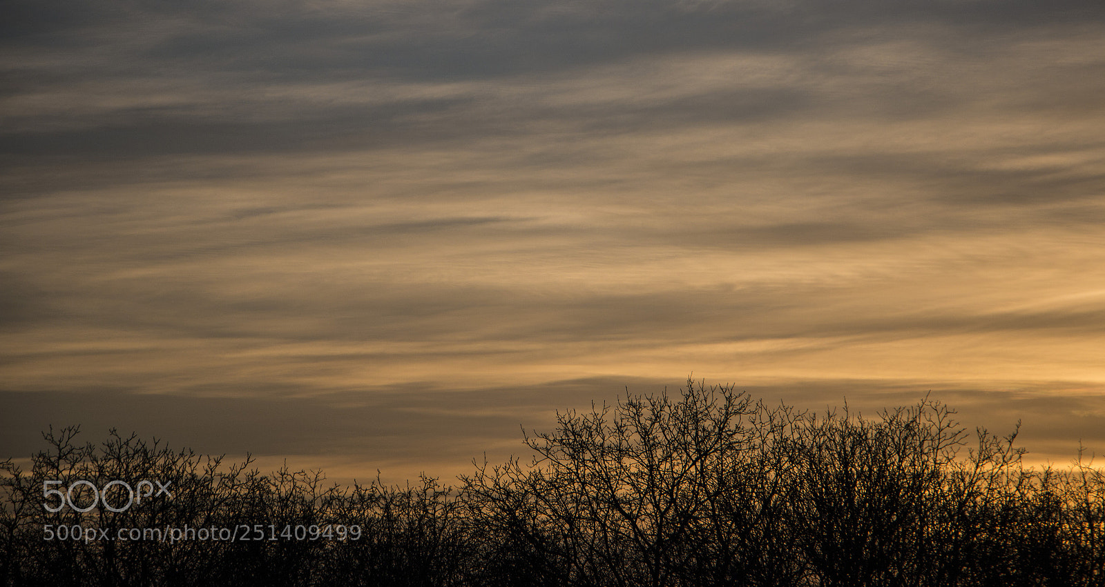 Canon EOS 70D sample photo. The sunset1 photography