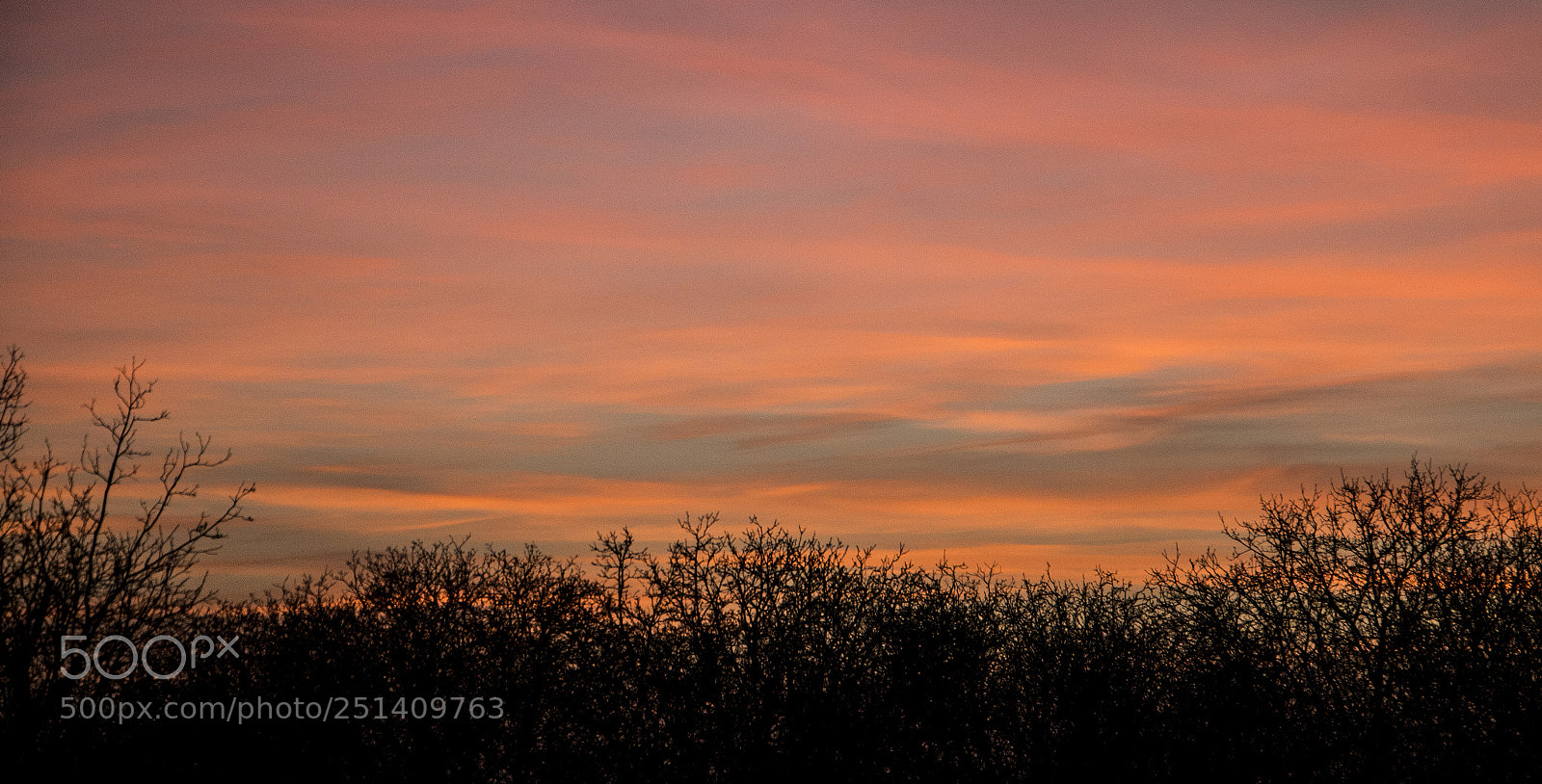 Canon EOS 70D sample photo. The sunset2 photography