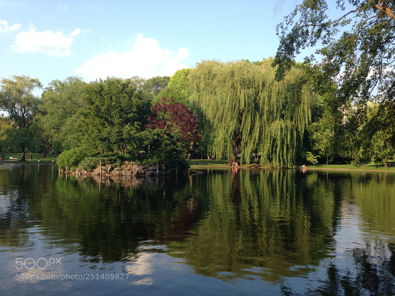 Apple iPhone 5 sample photo. () photography