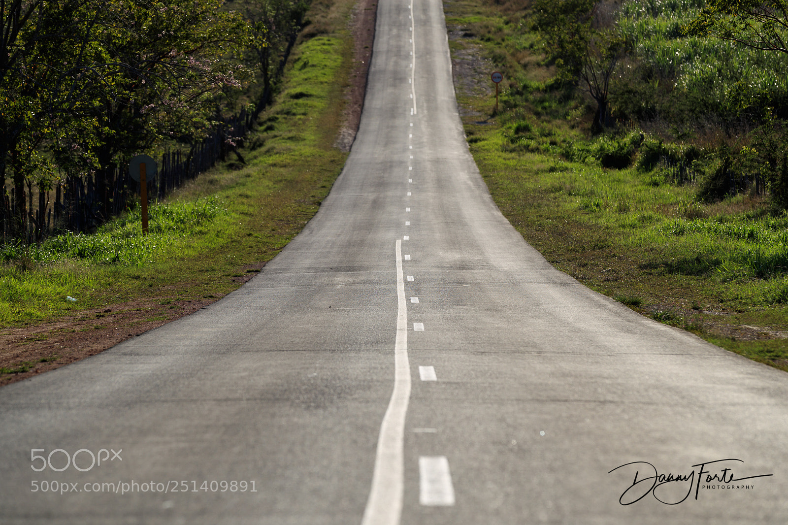Canon EOS-1D X Mark II sample photo. Endless road photography
