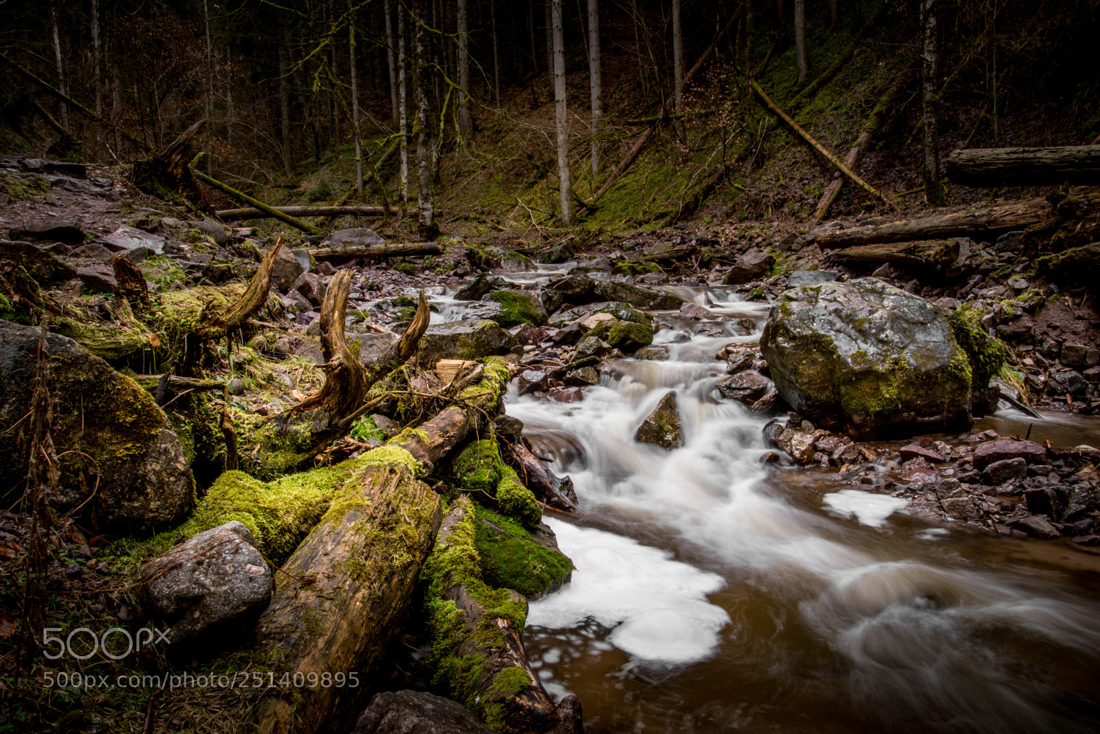Sony ILCA-77M2 sample photo. Creek in spring photography
