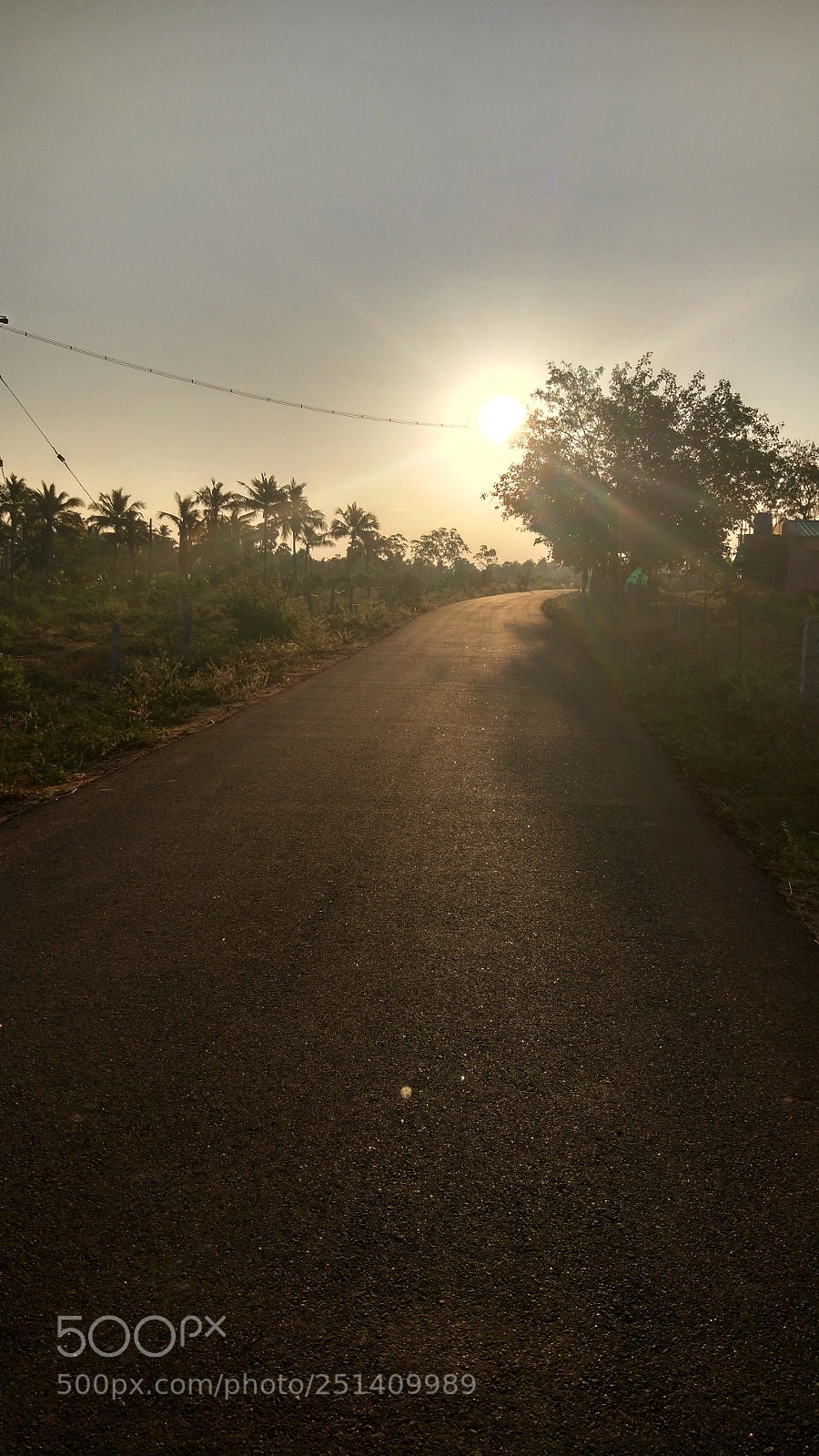 Xiaomi MI 5 sample photo. Untitled photography