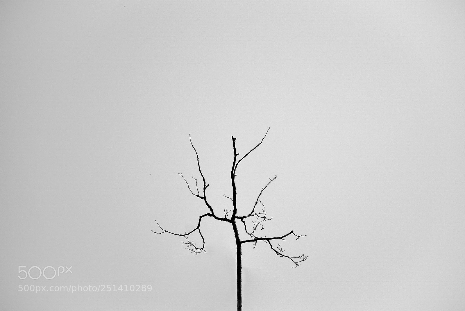 Nikon D7200 sample photo. Untitled photography