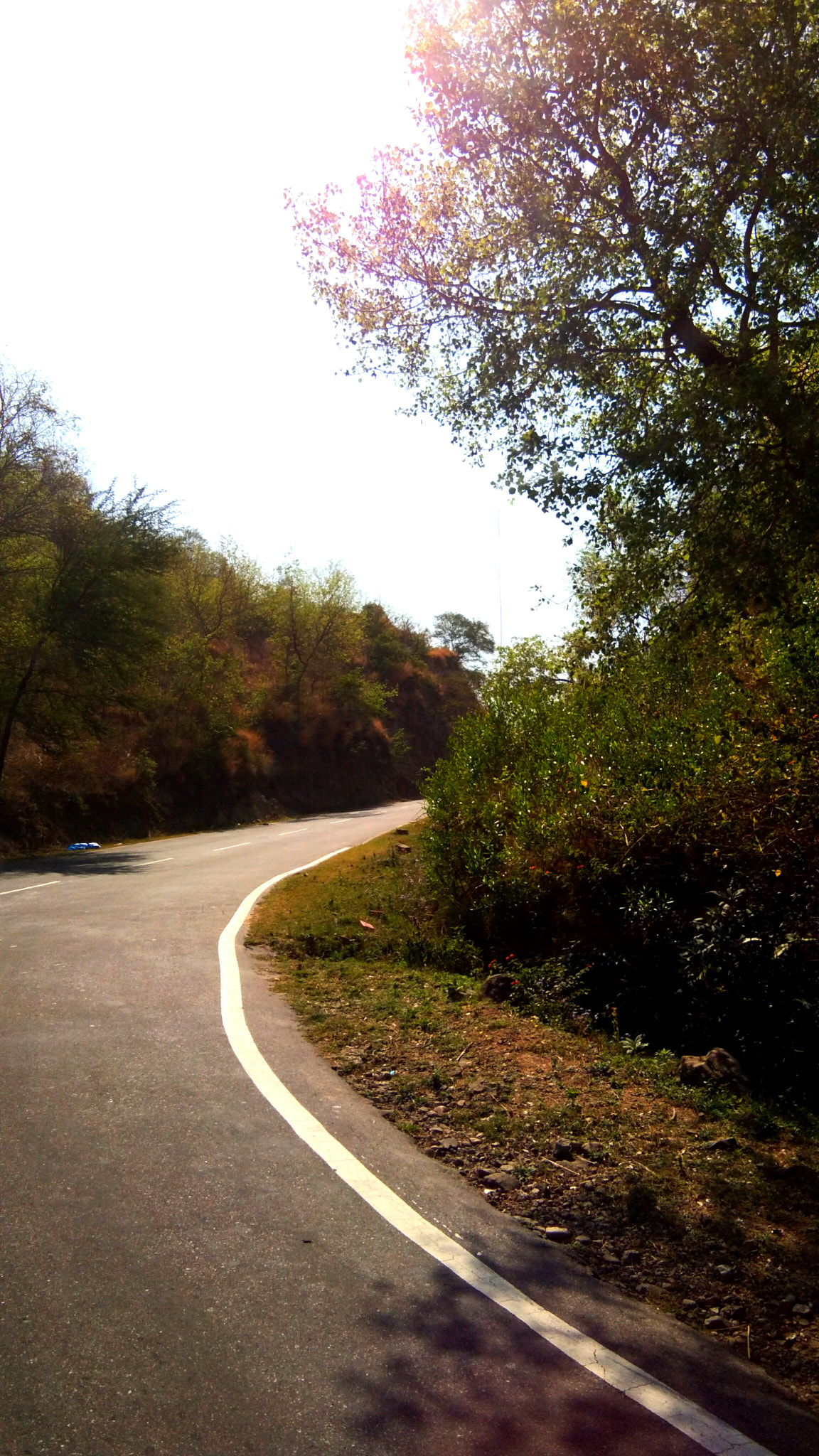 vivo Y55s sample photo