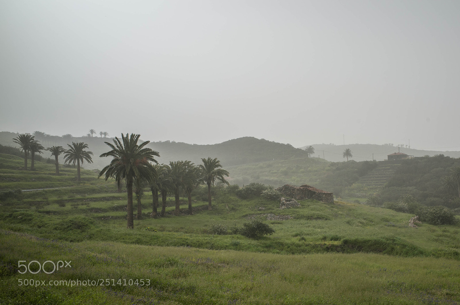 Ricoh GR sample photo. Foggy near cipude photography