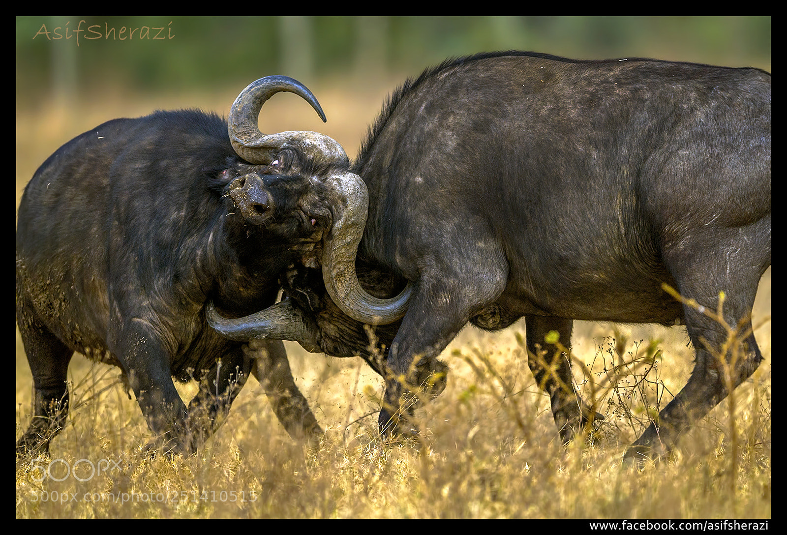 Nikon D5 sample photo. Beauty of the nature photography