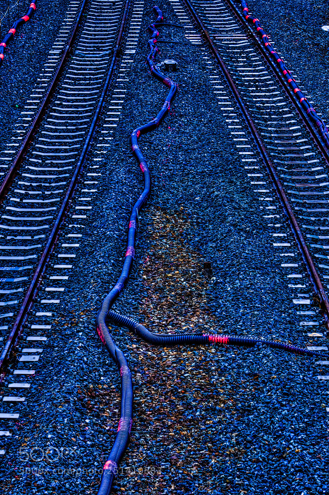 Sony a6000 sample photo. Surpent between rails photography