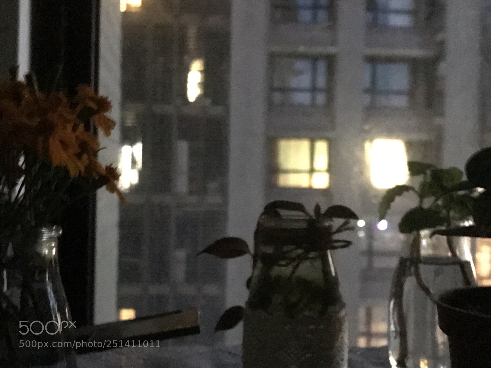 Apple iPhone 7 sample photo. Untitled photography