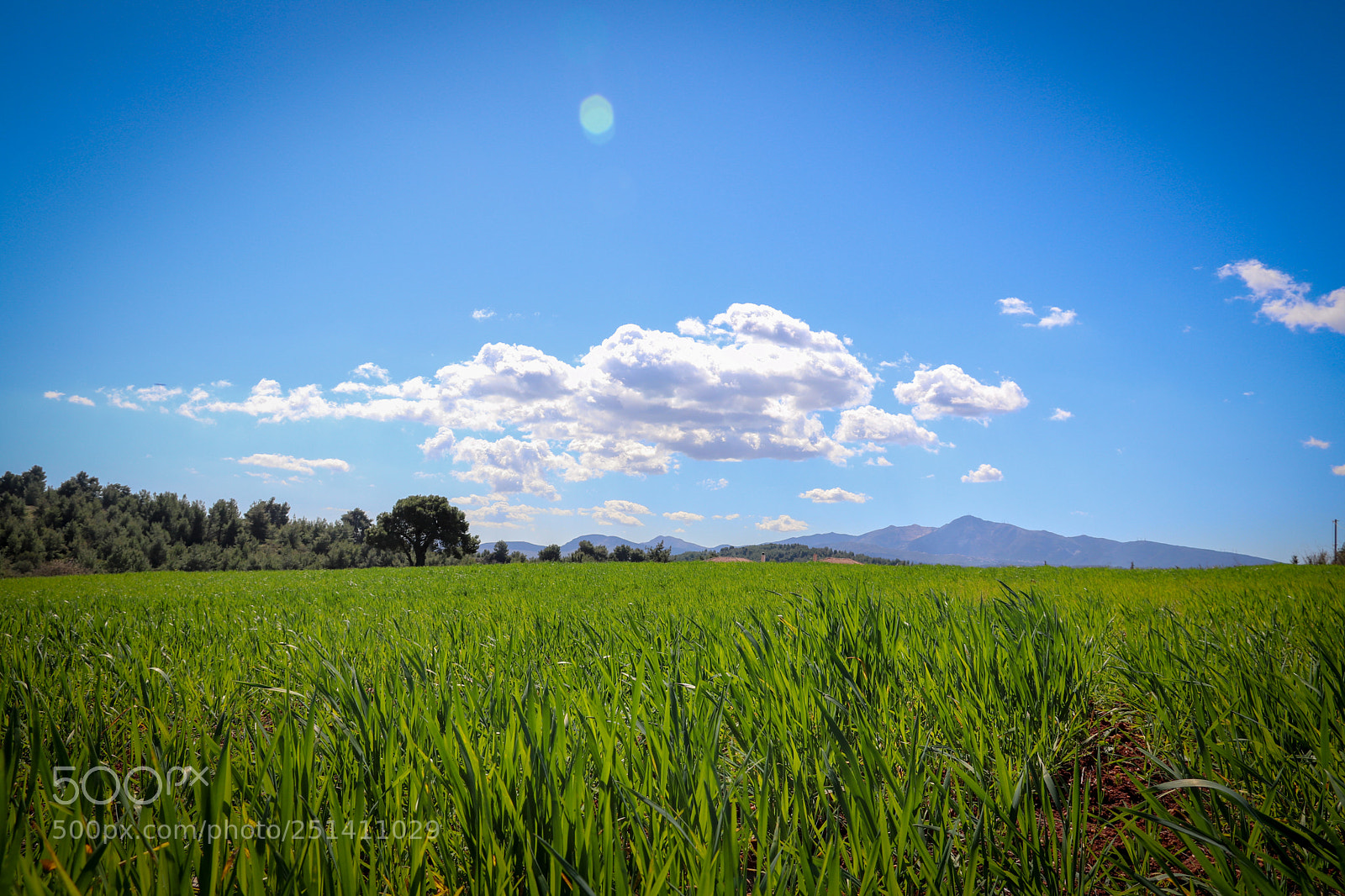Canon EOS 800D (EOS Rebel T7i / EOS Kiss X9i) sample photo. Spring landscape in greece photography