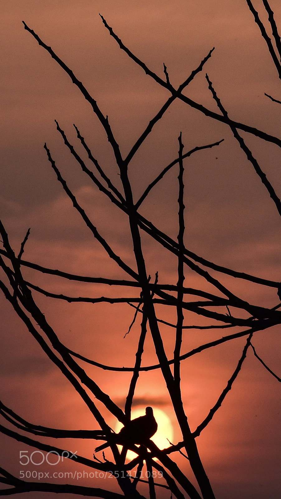 Nikon D7200 sample photo. Sunset photography