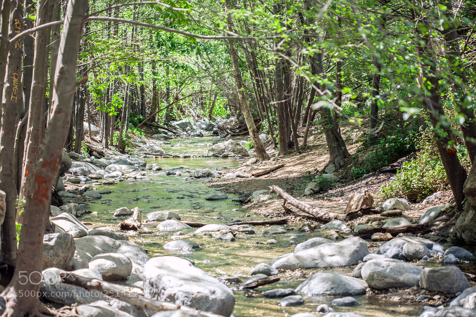 Canon EOS 5D Mark II sample photo. Eaton canyon stream running photography