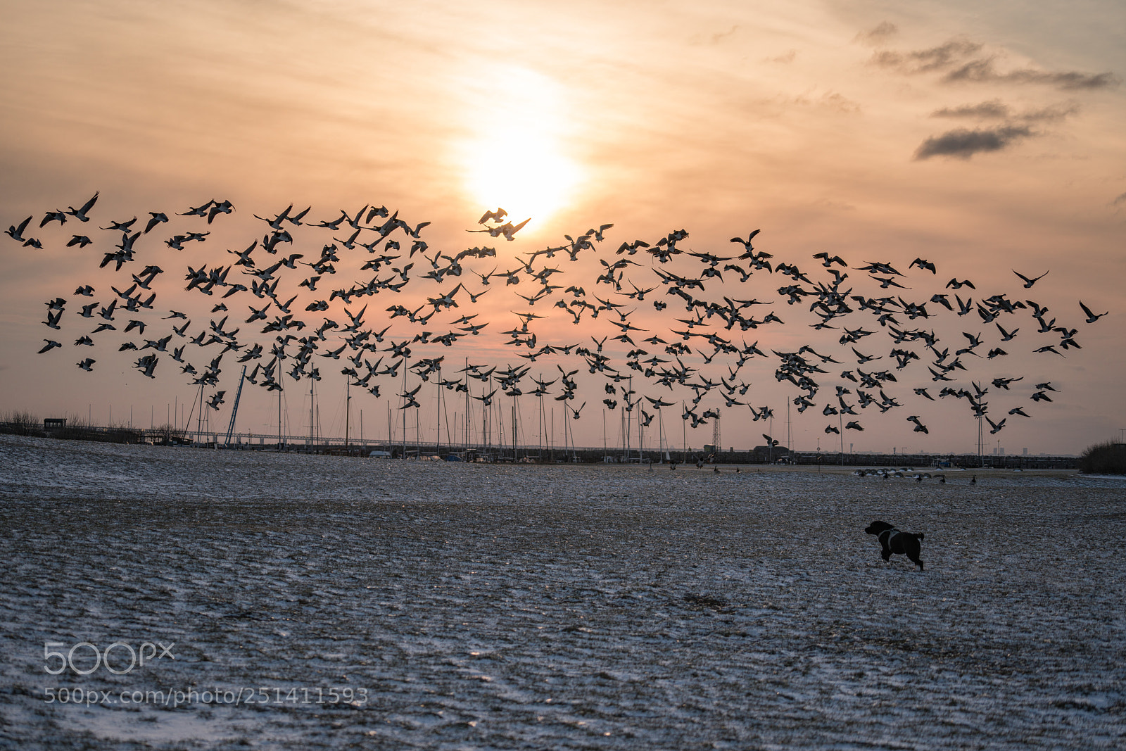 Sony a7R III sample photo. Sunset photography