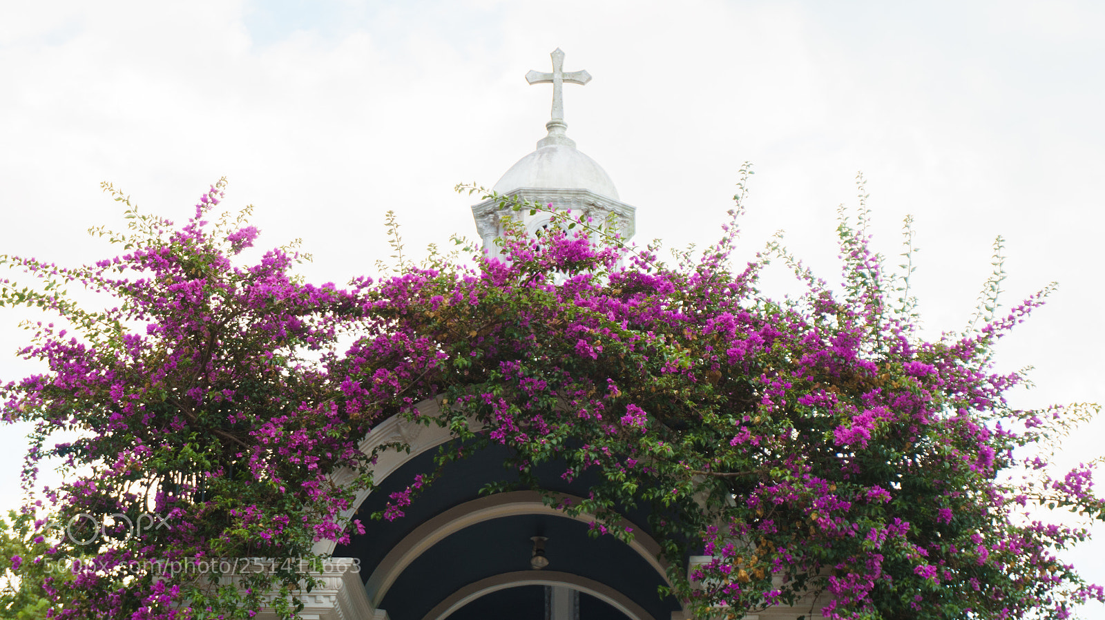 Sony Alpha a5000 (ILCE 5000) sample photo. Bougainvillea on a chapel photography