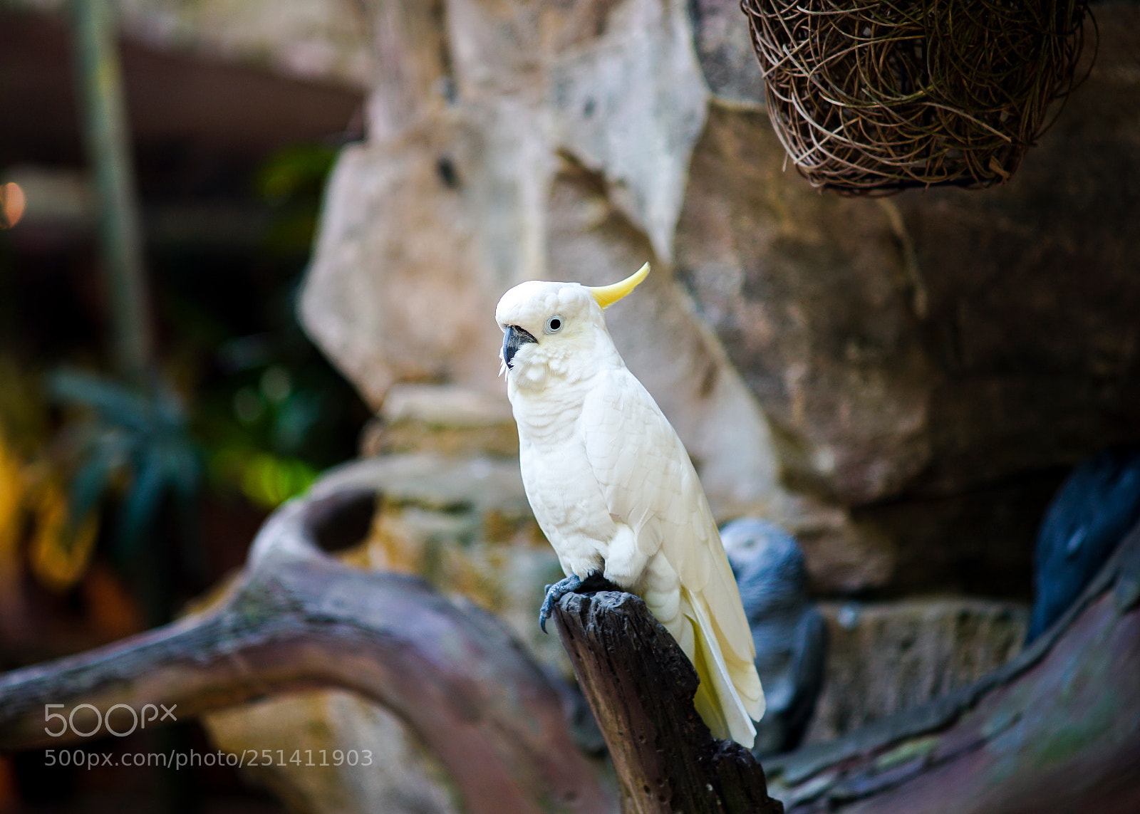 Sony a7 II sample photo. Dsc03177_1.jpg photography