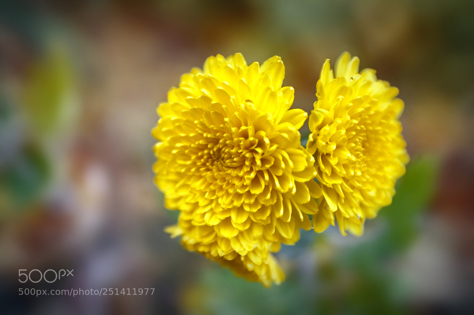 Nikon D90 sample photo. .. photography