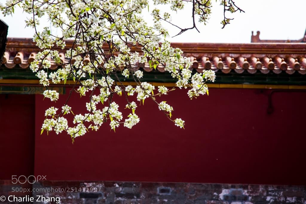 Canon EOS-1D X sample photo. Untitled photography