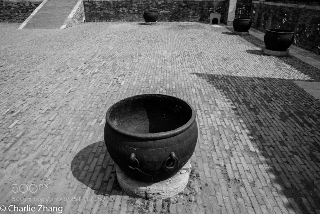 Canon EOS-1D X sample photo. Untitled photography