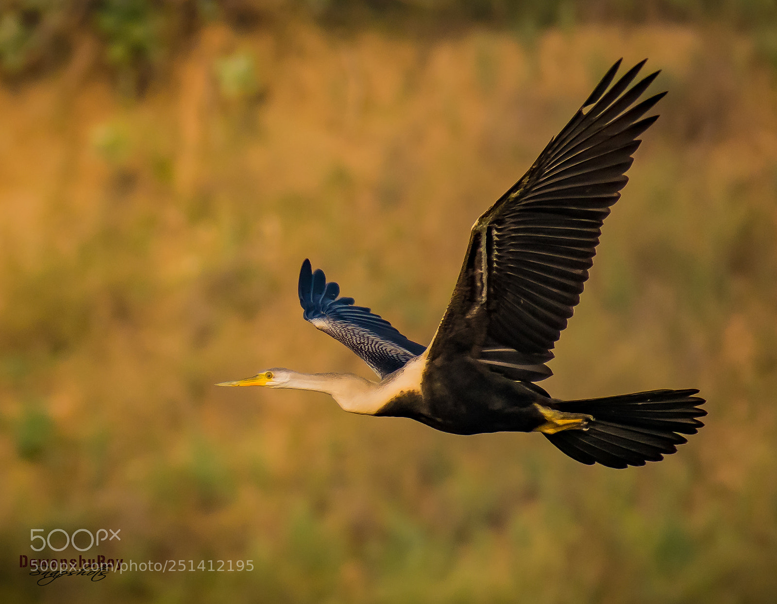Nikon D3300 sample photo. Dewanshuroy2 photography