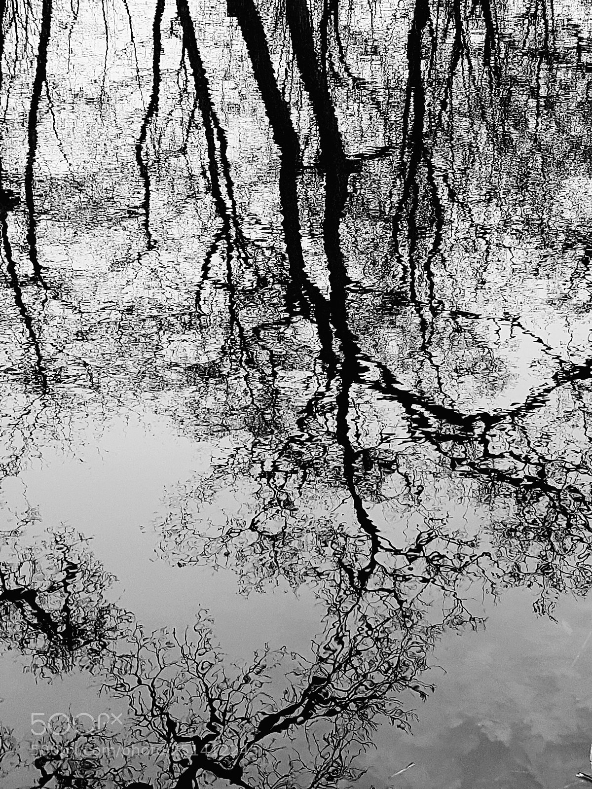 Samsung Galaxy S7 Edge sample photo. Reflection photography