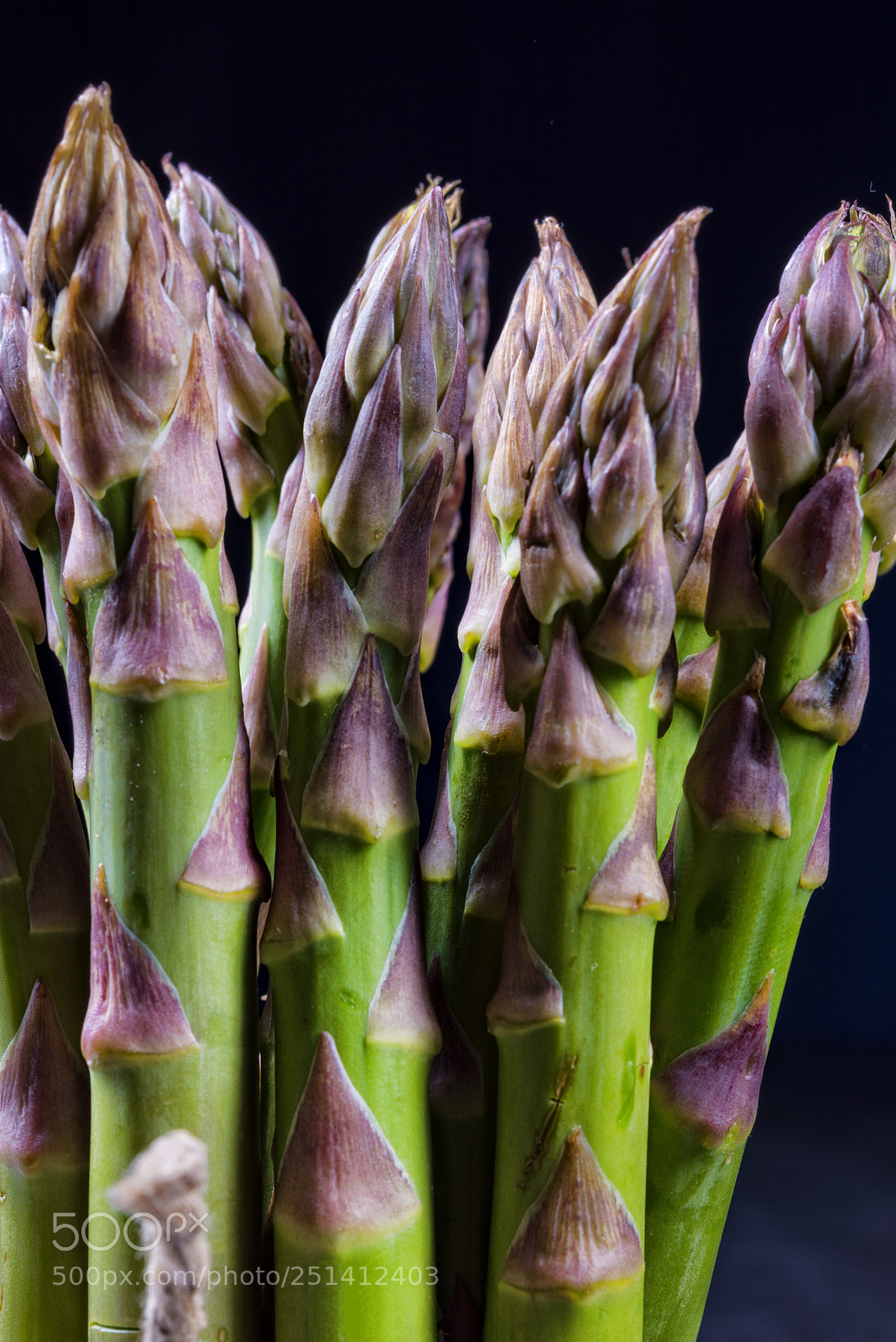Nikon D810 sample photo. Fresh green asparagus photography