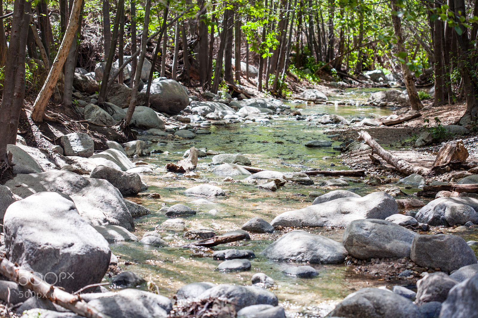 Canon EOS 5D Mark II sample photo. Eaton canyon stream running photography