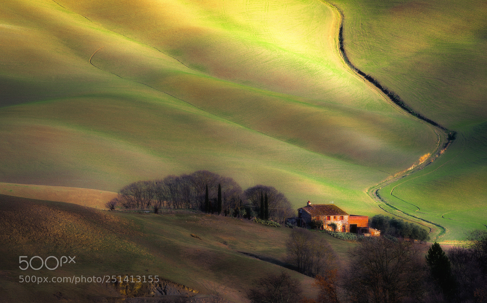 Nikon D810 sample photo. In the valley's shadows photography