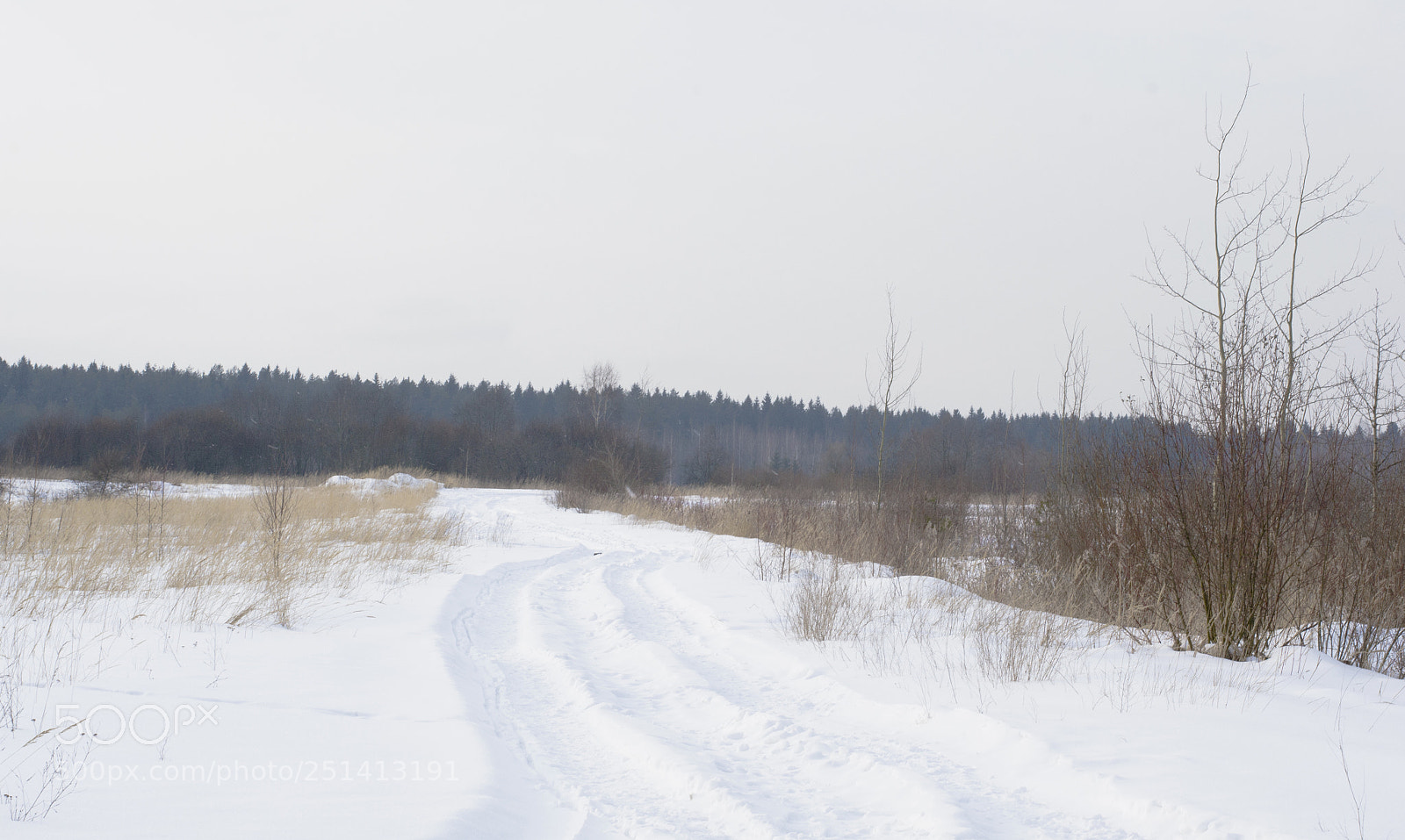 Nikon D3100 sample photo. белые дороги photography