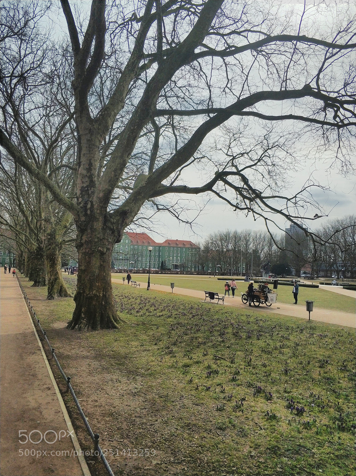 Xiaomi MI6 sample photo. Spring in park kasprowicza photography