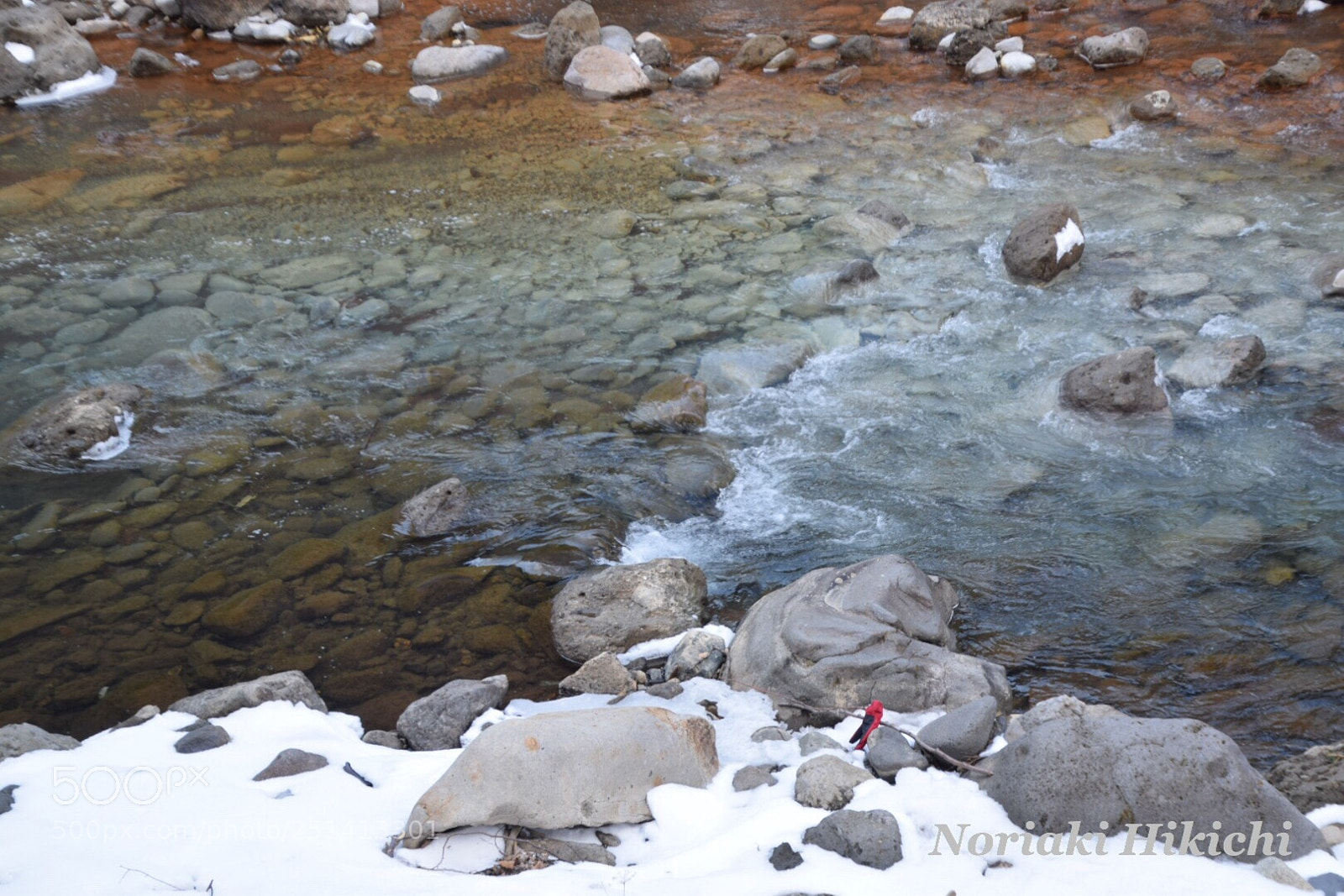 Nikon D5300 sample photo. Untitled photography