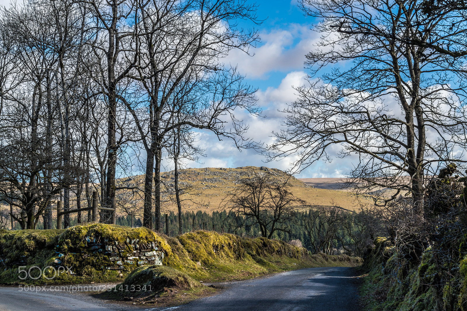 Nikon D610 sample photo. Sheeps tor from lowery photography