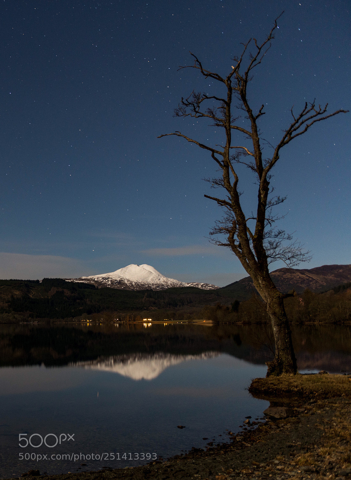 Nikon D800 sample photo. Lonely tree at loch photography