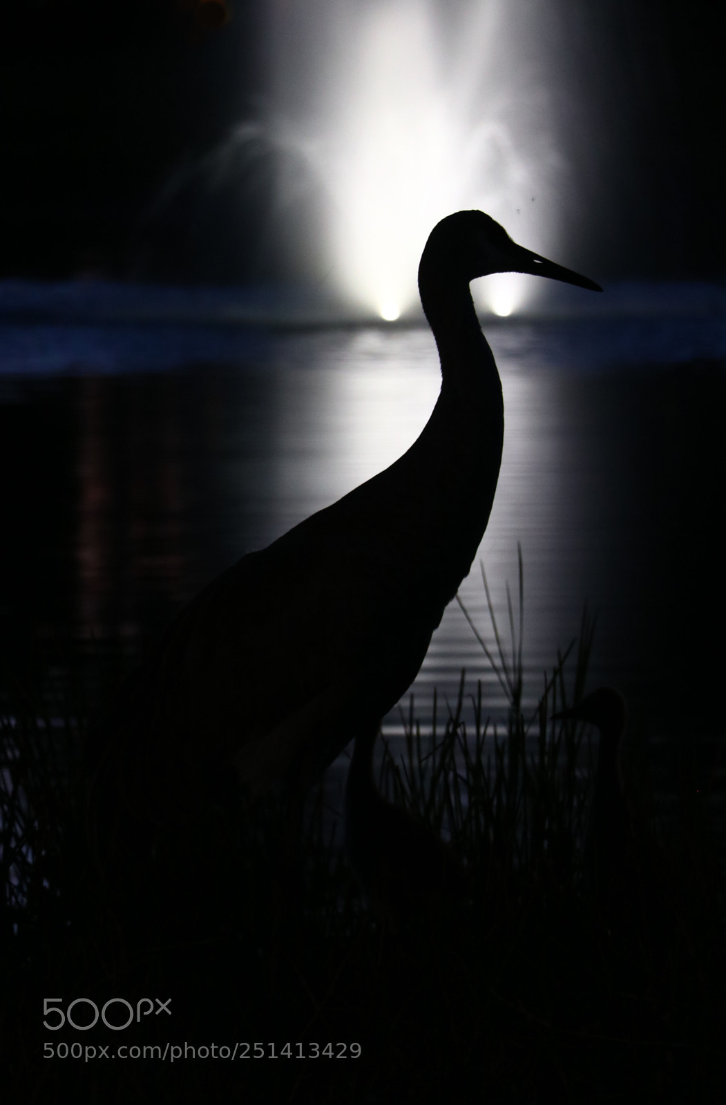 Canon EOS 80D sample photo. Silhouette of a sandhill photography