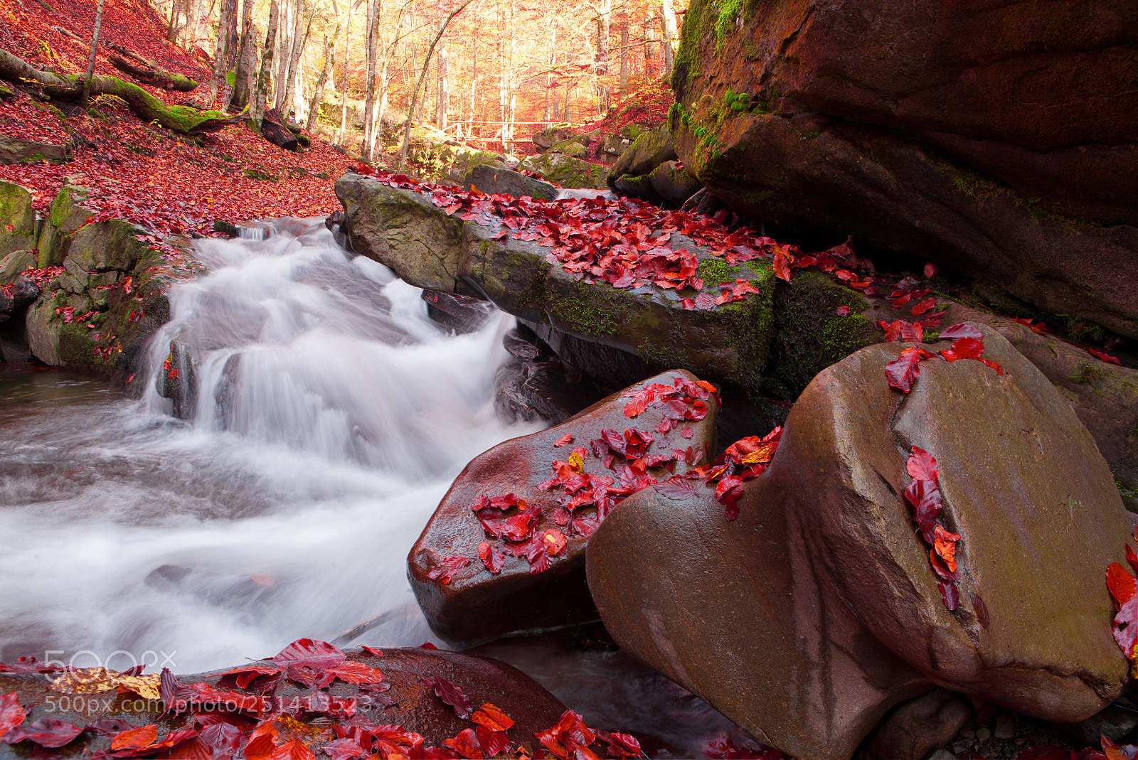 Canon EOS 5D sample photo. Waterfall in the autumn photography
