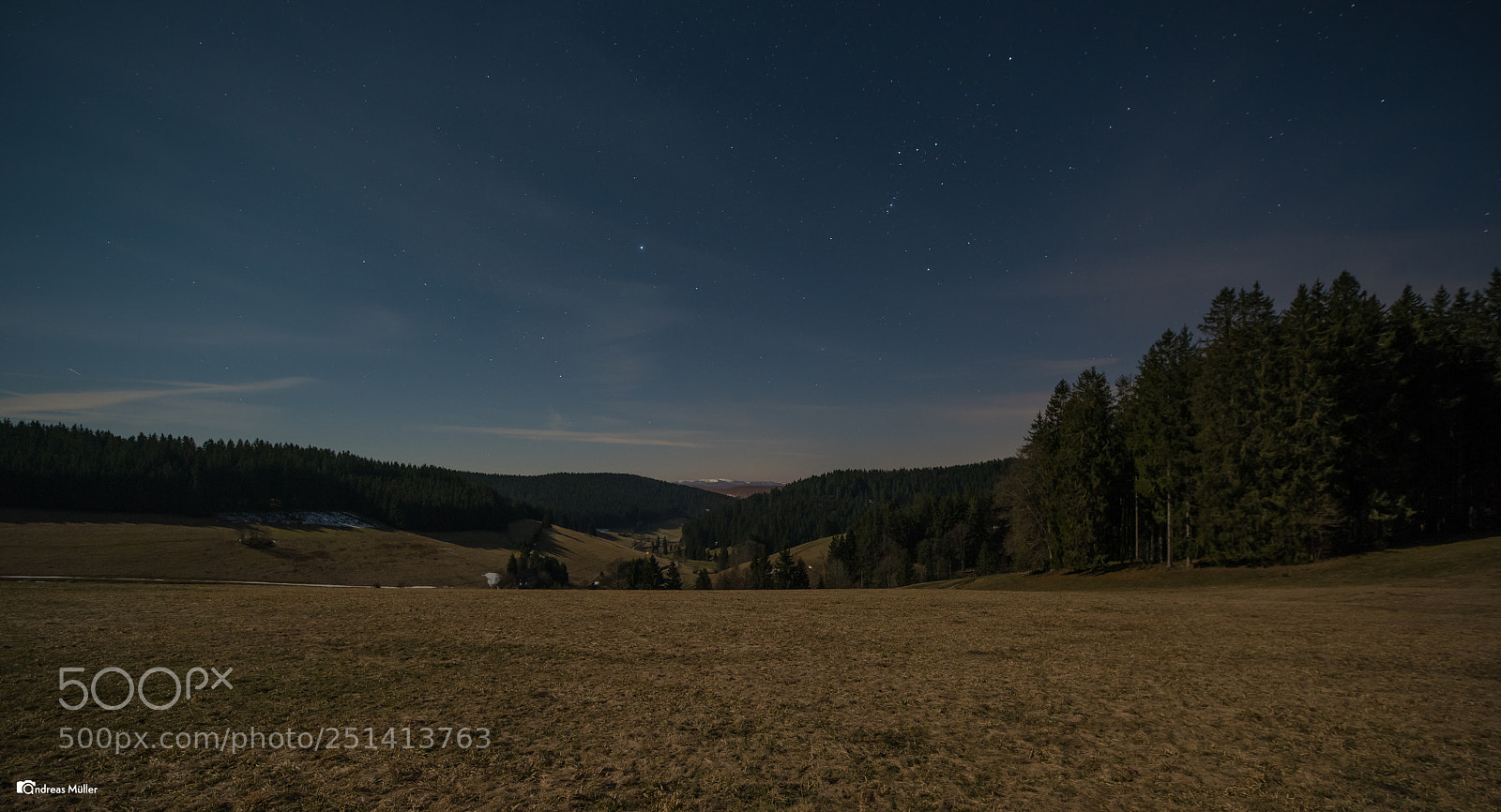Nikon D810 sample photo. Feldberg im mondlicht photography