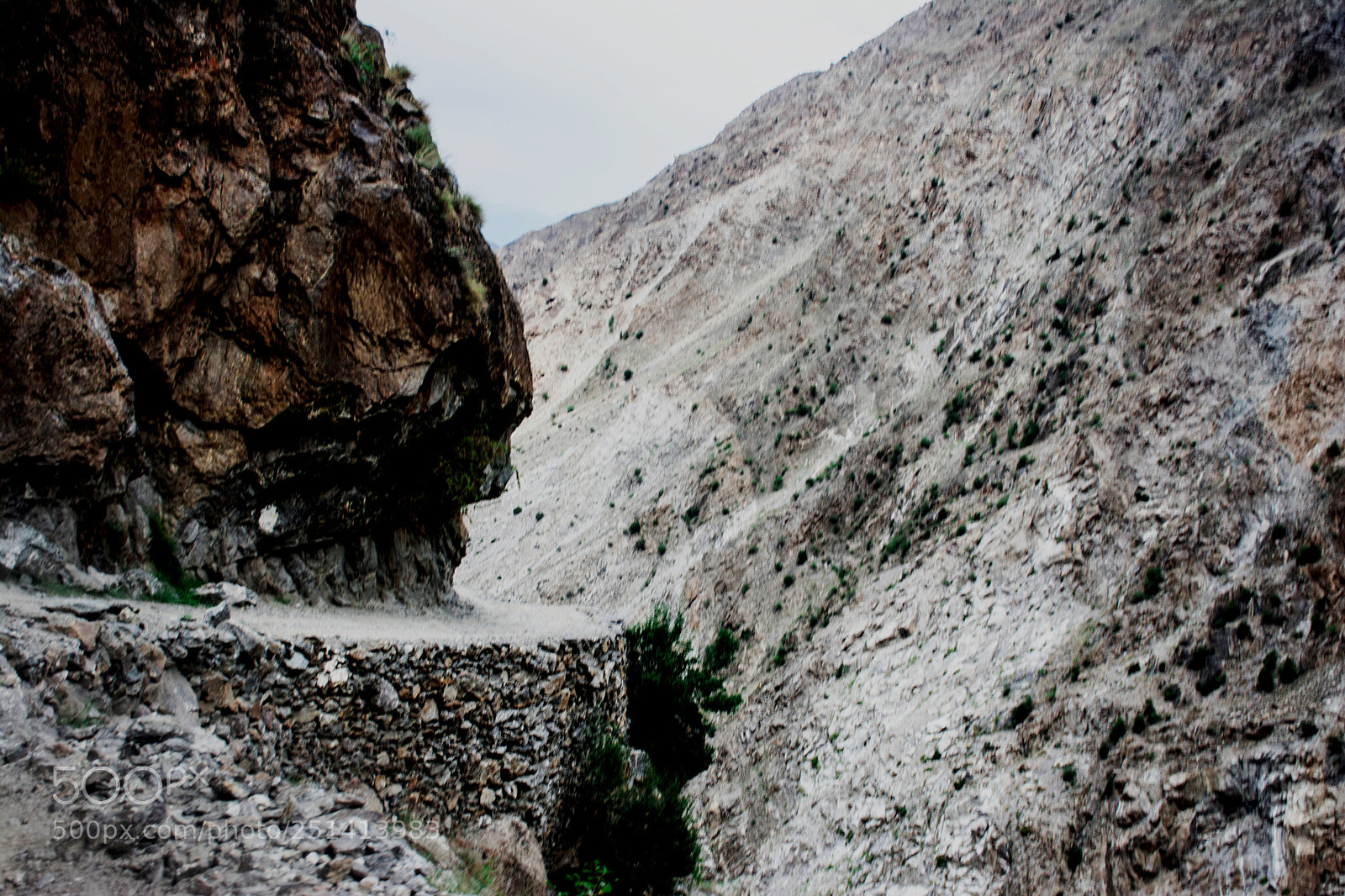 Nikon D7100 sample photo. On the way to photography