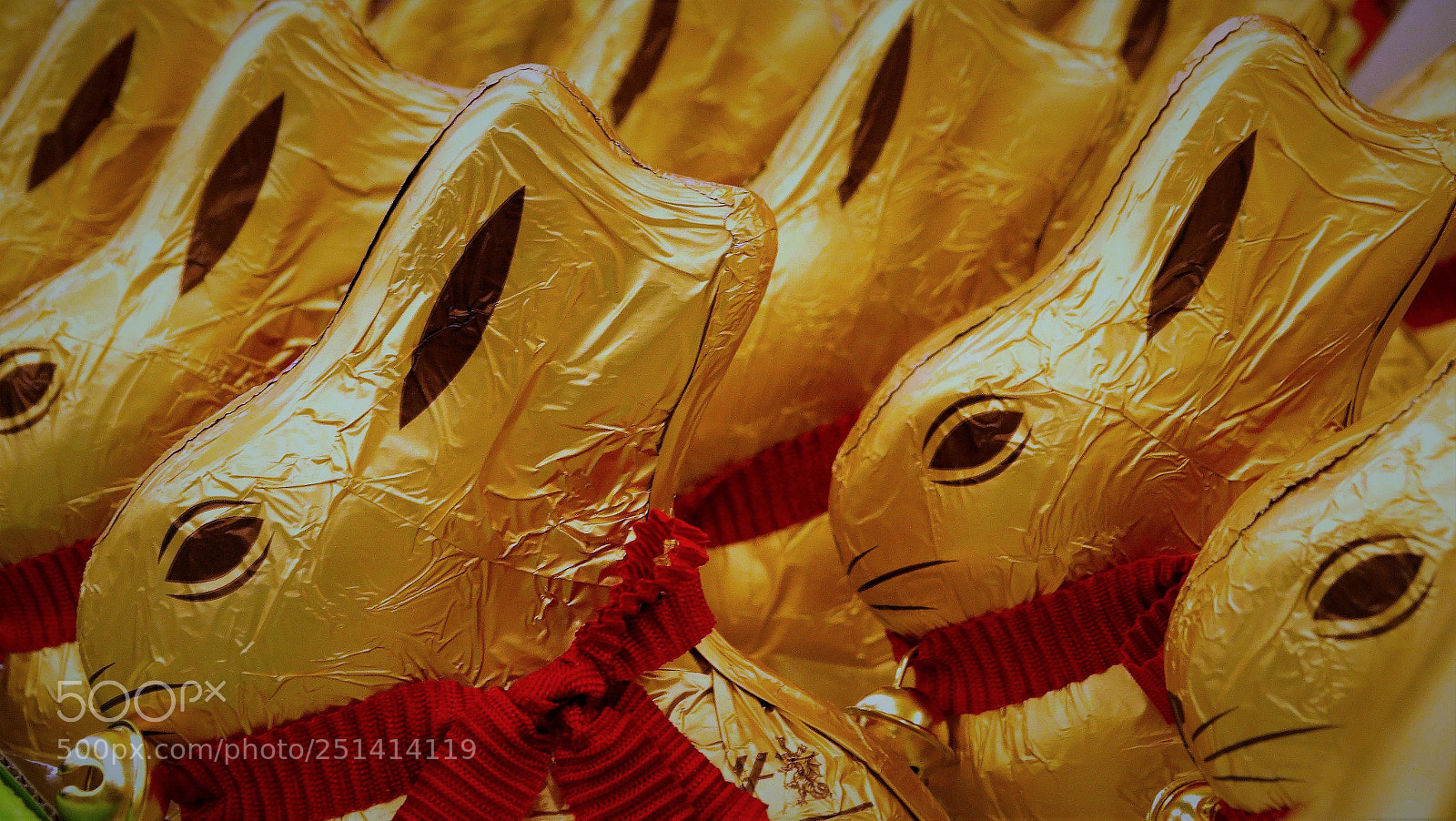 Sony Cyber-shot DSC-HX300 sample photo. The popular ones photography