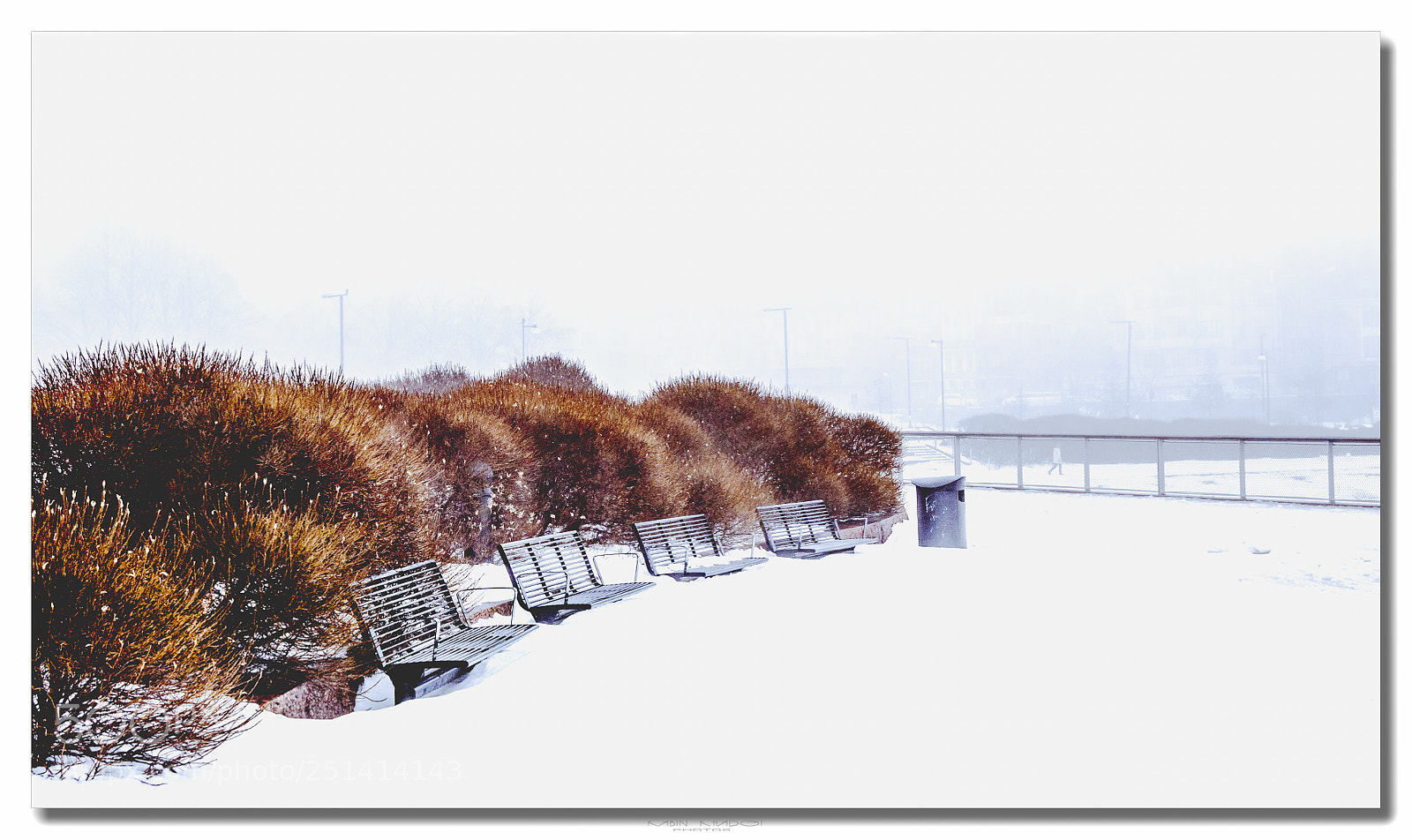 Panasonic Lumix DMC-GX8 sample photo. Misty winter photography