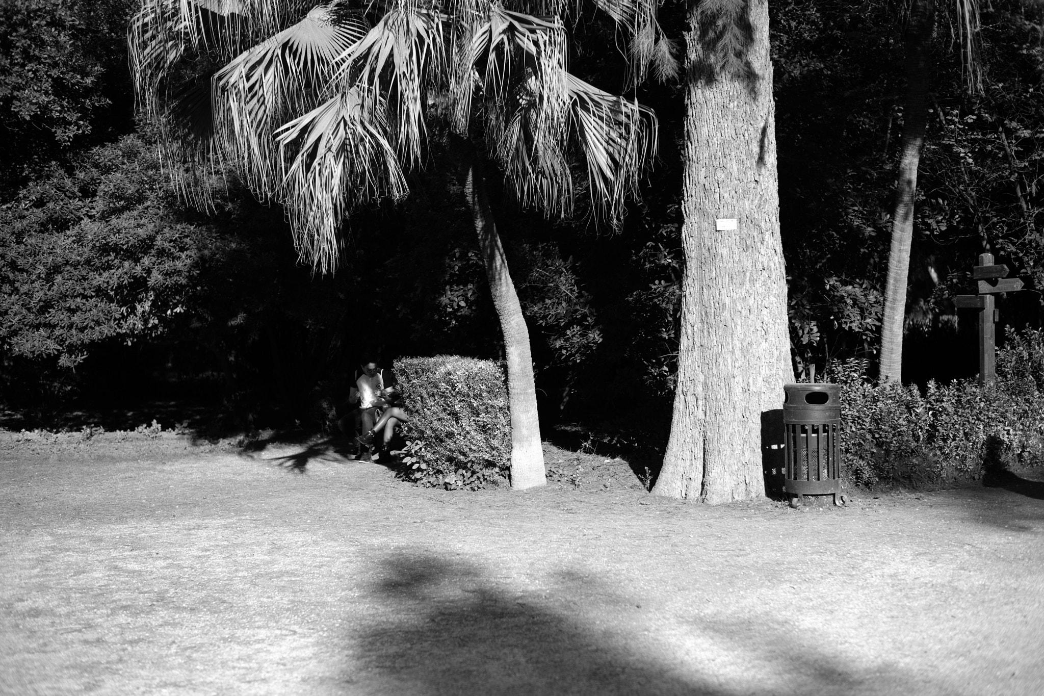Leica M (Typ 262) sample photo. Athens photography