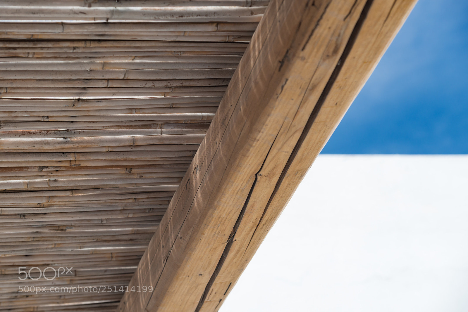 Nikon D800 sample photo. Summer feeling photography
