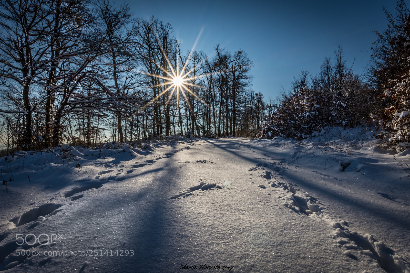 Nikon D7200 sample photo. Wintersun photography