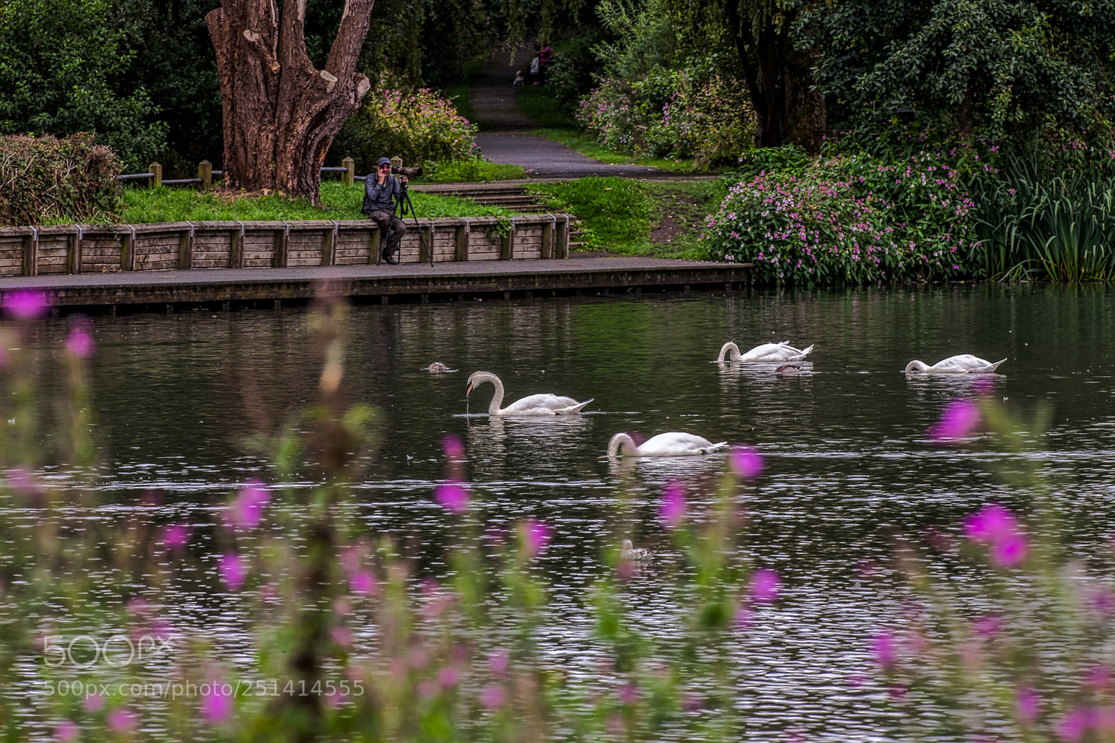 Canon EOS 5D Mark II sample photo. A photographer's magnet photography