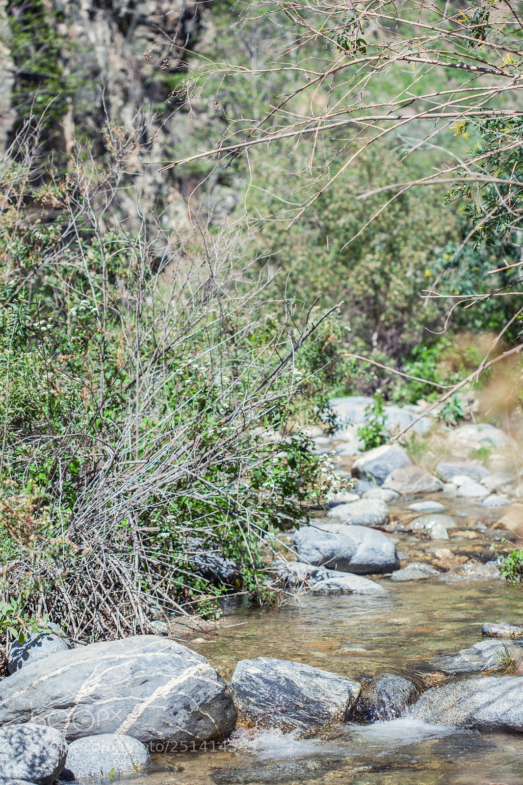 Canon EOS 5D Mark II sample photo. Eaton canyon falls trail photography