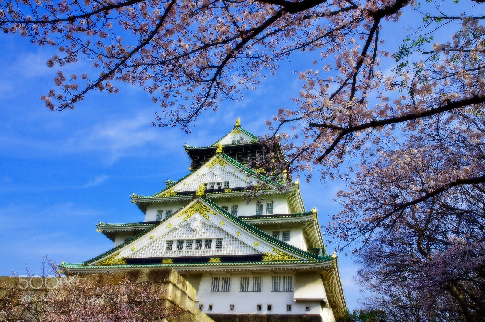 Pentax K-3 II sample photo. Japanese spring  photography