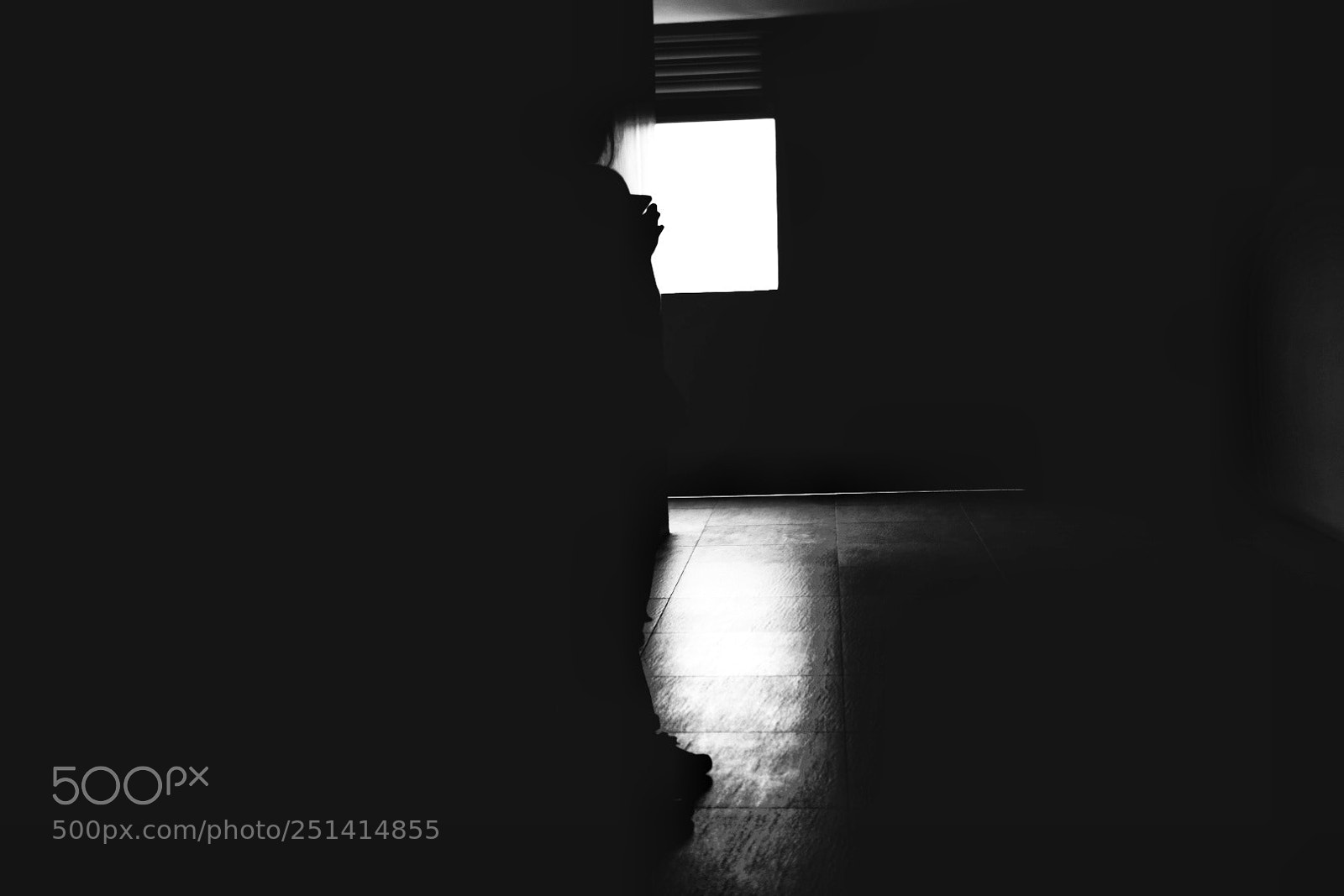 Nikon D5300 sample photo. In the shadow photography