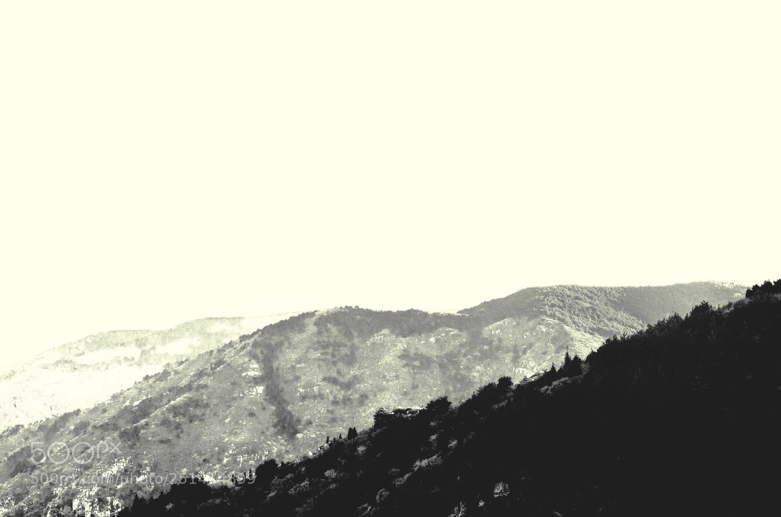 Nikon D7000 sample photo. Untitled photography