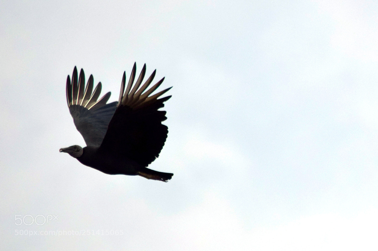 Nikon D5300 sample photo. ..." photography
