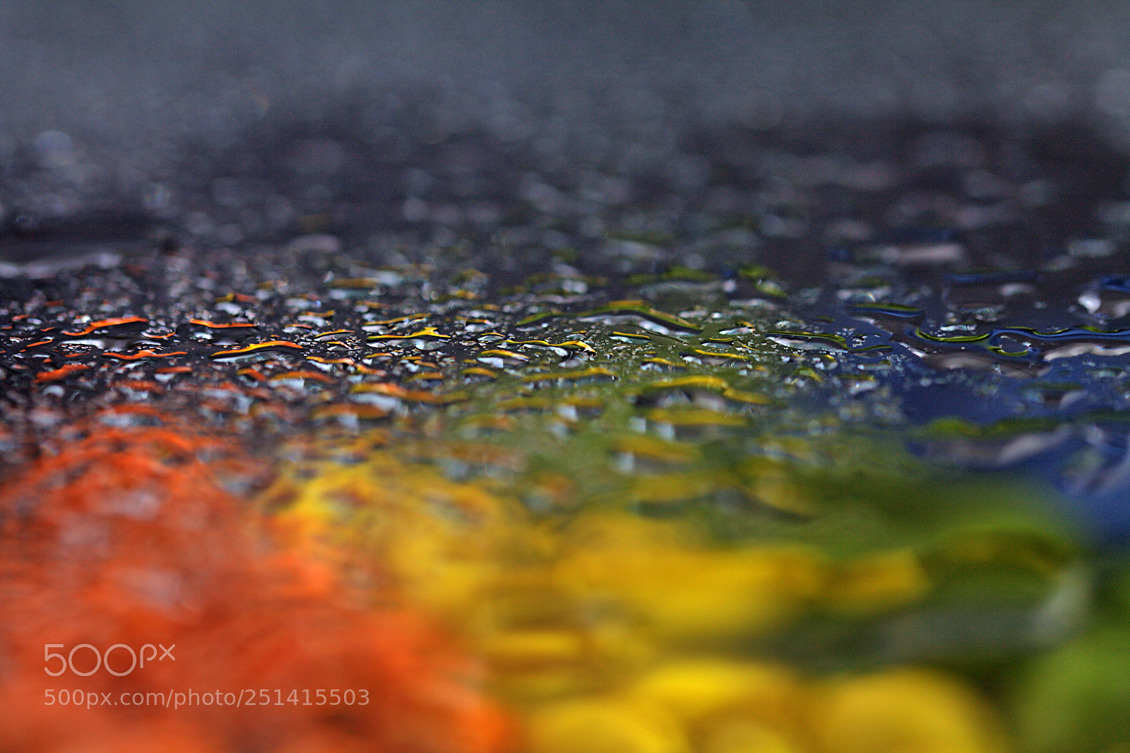 Canon EOS 5D Mark II sample photo. Colours photography
