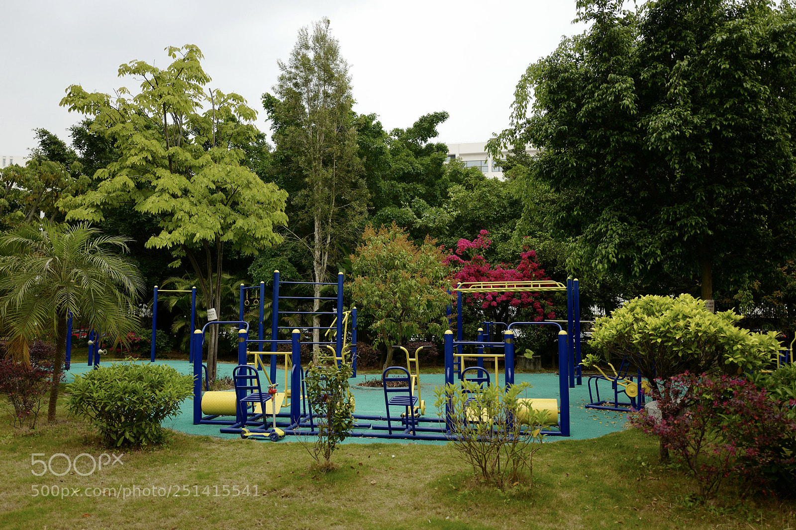 Leica Q (Typ 116) sample photo. 隱密在綠色深處的無人問津的彩色樂園 photography