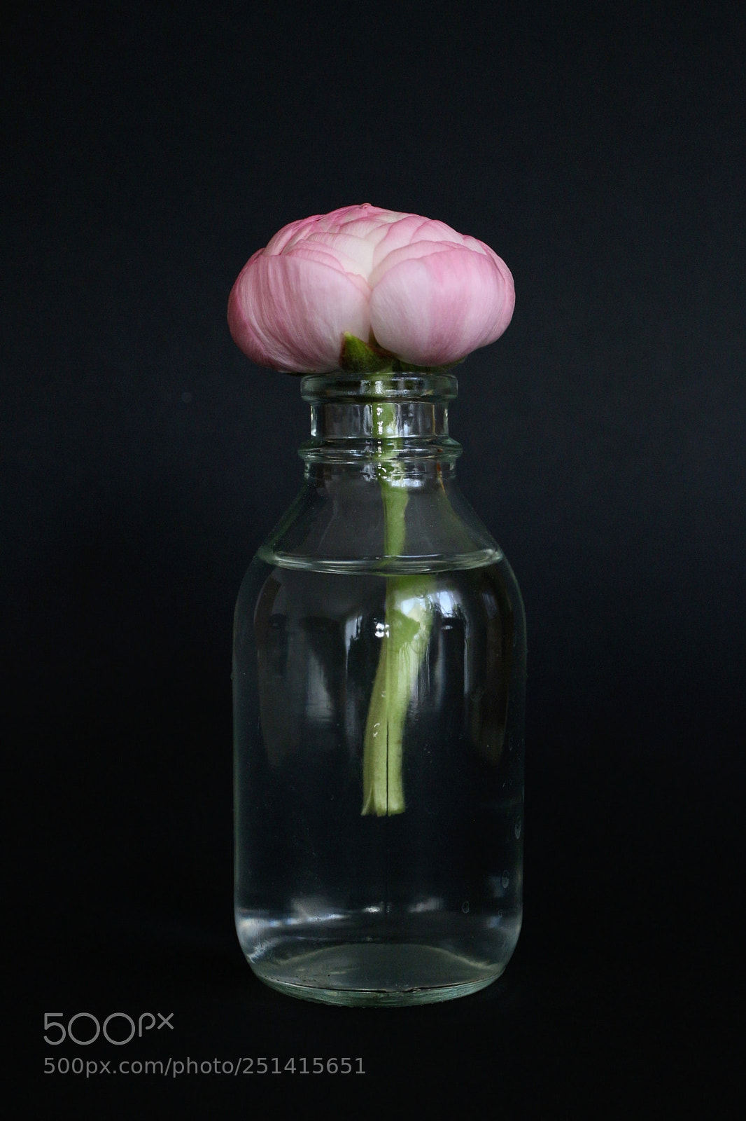 Canon EOS 70D sample photo. Buttercup in a bottle photography